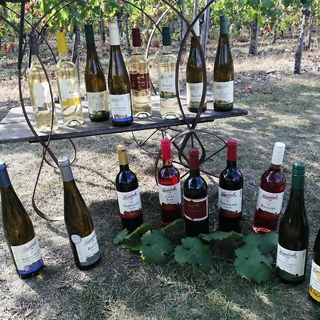 Ferienweingut Winnebeck Köwerich 外观 照片