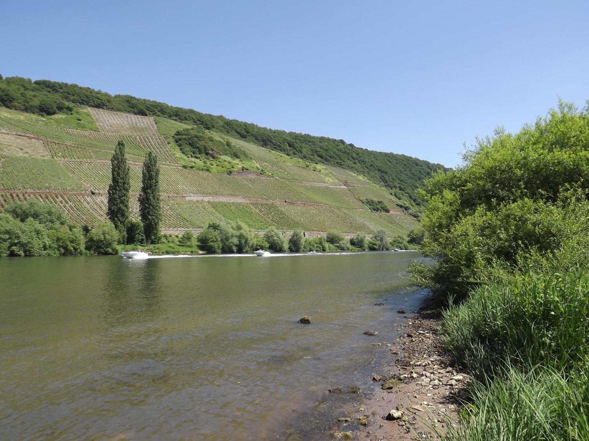 Ferienweingut Winnebeck Köwerich 客房 照片