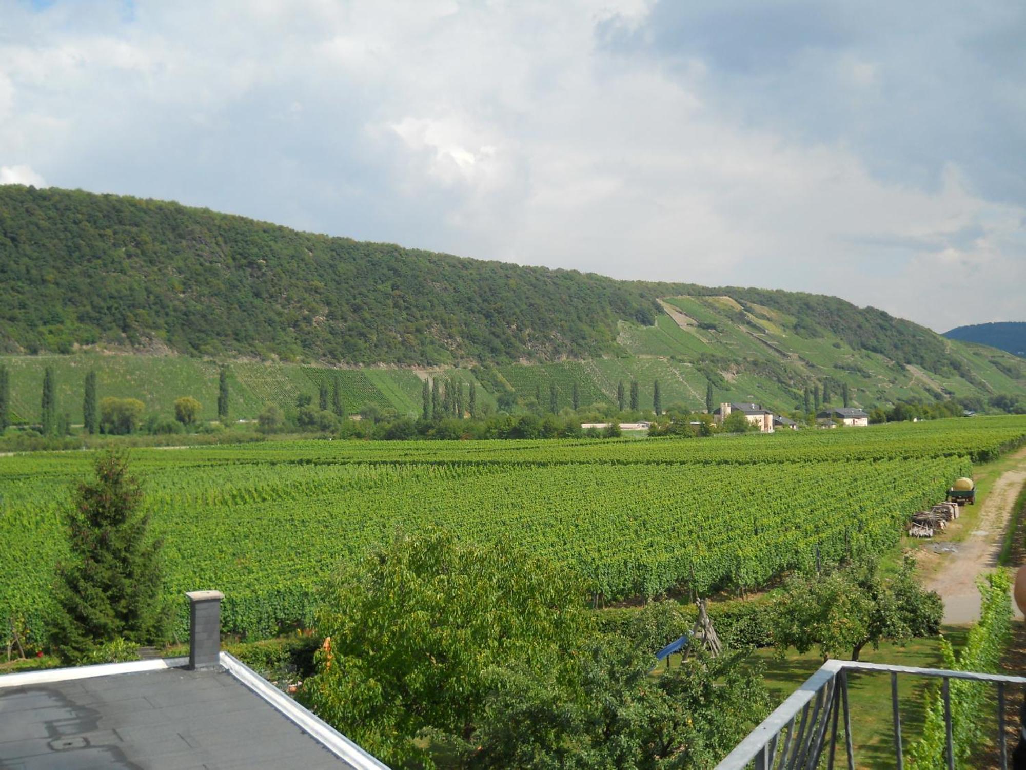 Ferienweingut Winnebeck Köwerich 客房 照片