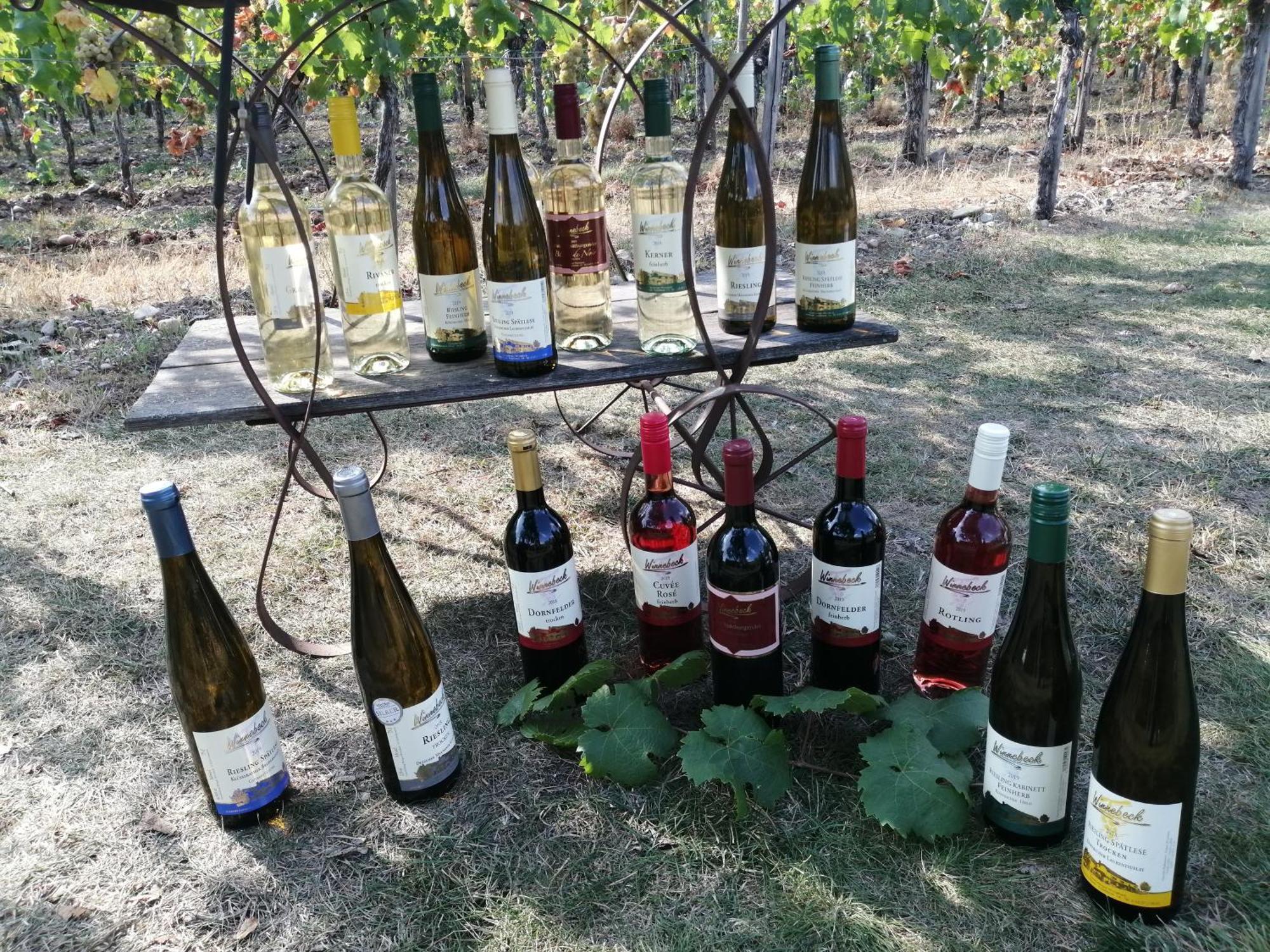 Ferienweingut Winnebeck Köwerich 外观 照片