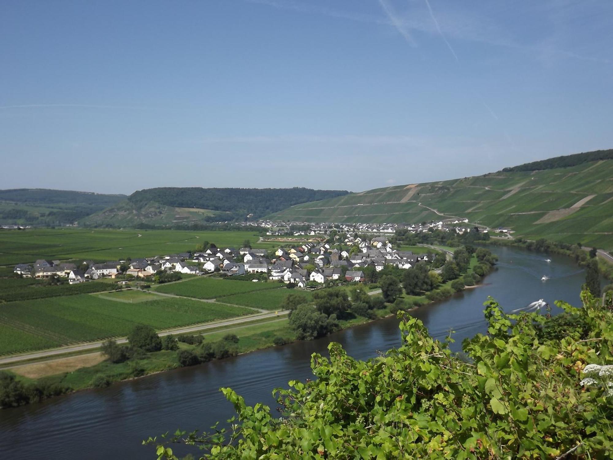 Ferienweingut Winnebeck Köwerich 客房 照片
