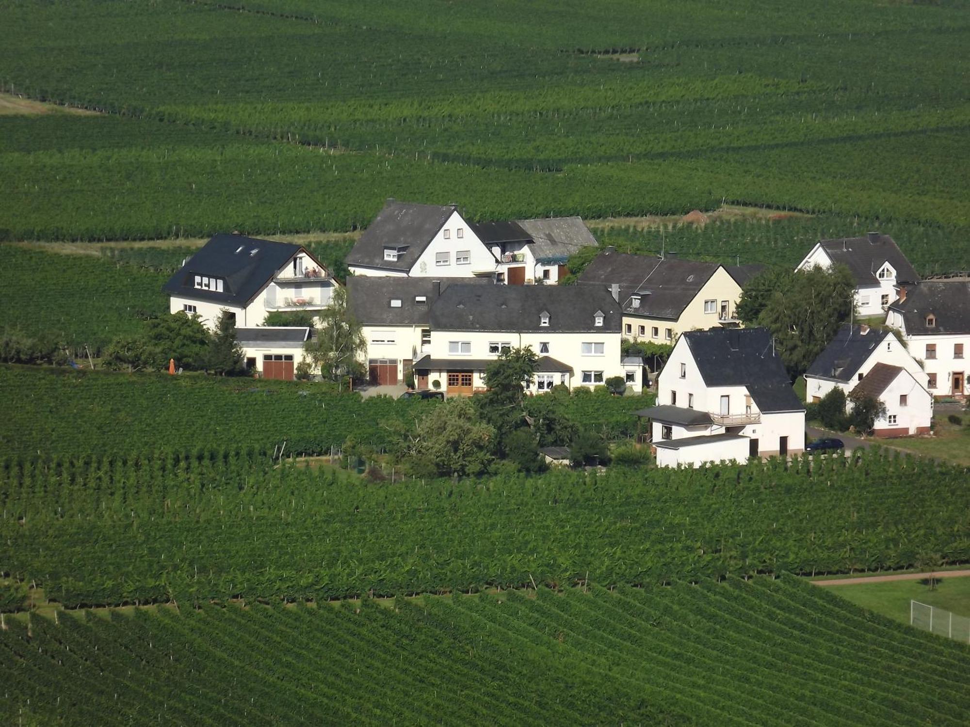 Ferienweingut Winnebeck Köwerich 客房 照片