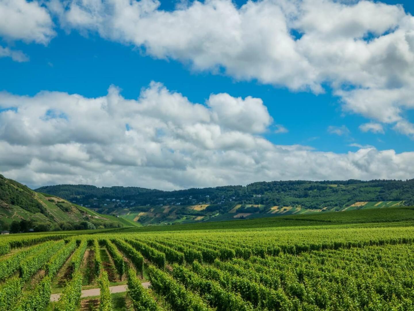 Ferienweingut Winnebeck Köwerich 外观 照片