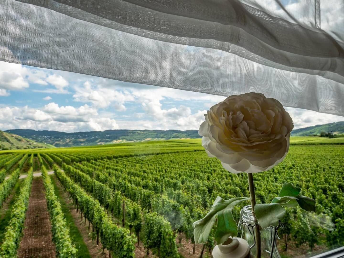 Ferienweingut Winnebeck Köwerich 外观 照片