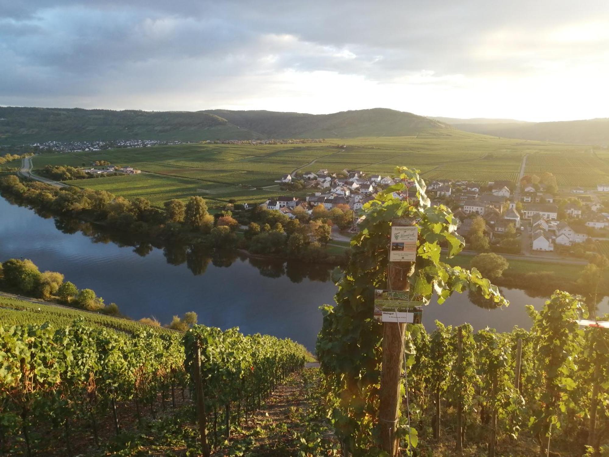 Ferienweingut Winnebeck Köwerich 外观 照片
