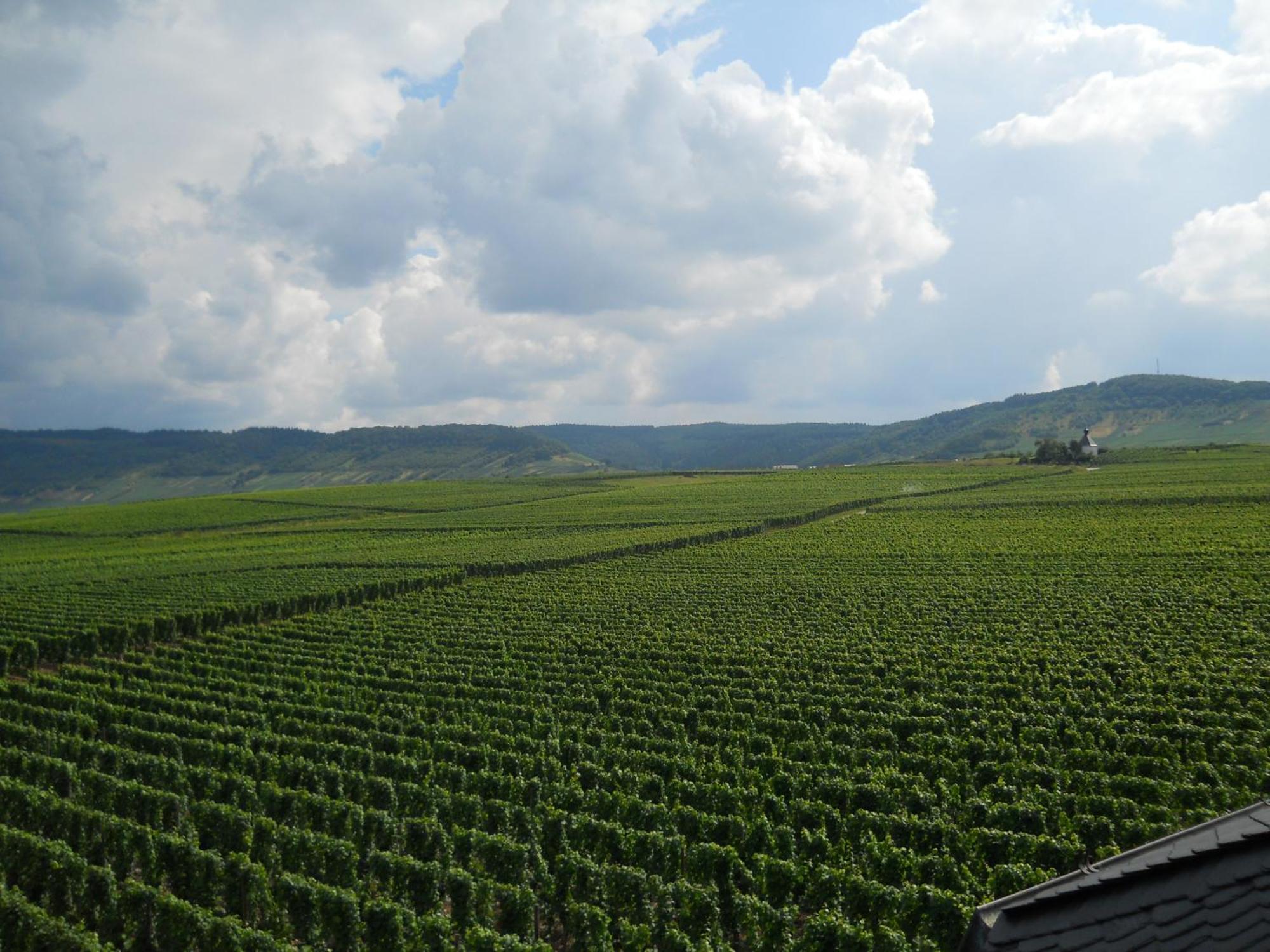 Ferienweingut Winnebeck Köwerich 外观 照片