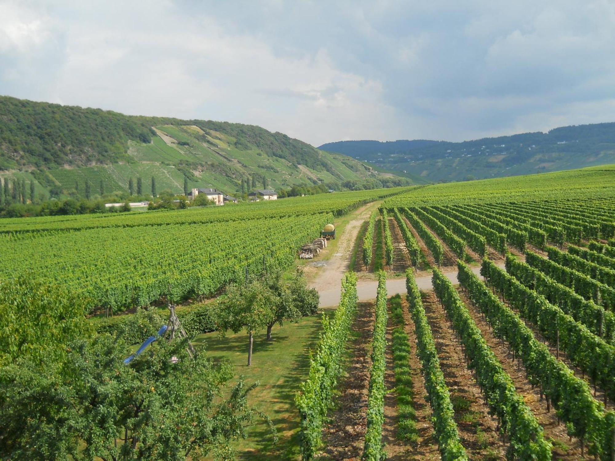Ferienweingut Winnebeck Köwerich 外观 照片