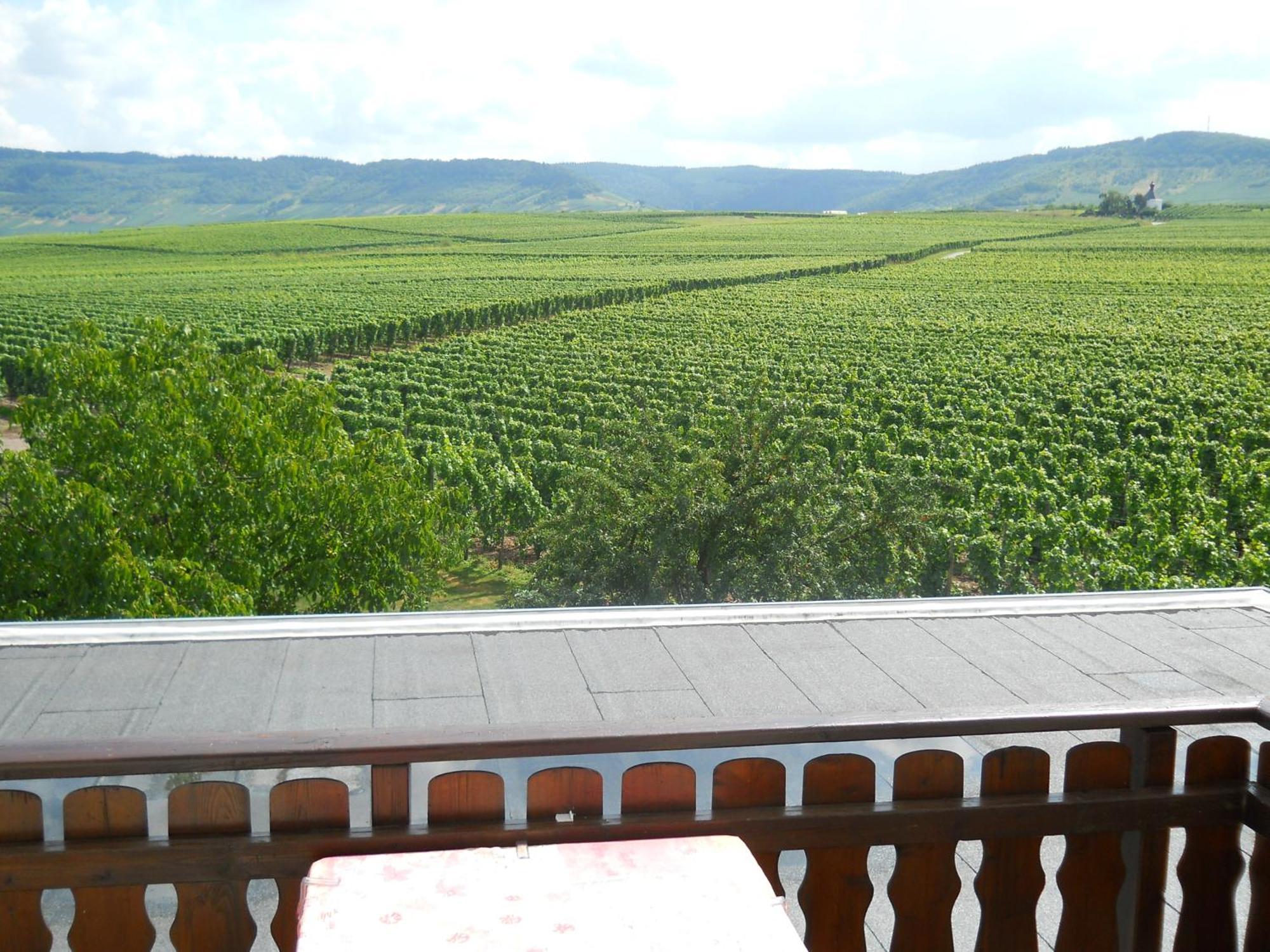 Ferienweingut Winnebeck Köwerich 外观 照片